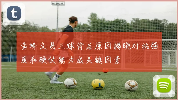 黄蜂交易三球背后原因揭晓对抗强度和硬仗能力成关键因素