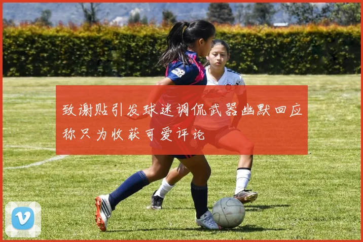 致谢贴引发球迷调侃武器幽默回应称只为收获可爱评论