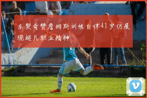 东契奇赞詹姆斯训练自律41岁仍展现超凡职业精神